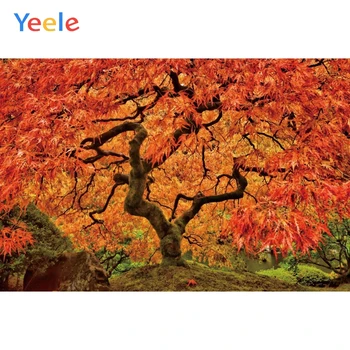 

Autumn Forest Tree Backdrop Newborn Baby Shower Kids Birthday Portrait Pet Photography Background For Photo studio Photocall