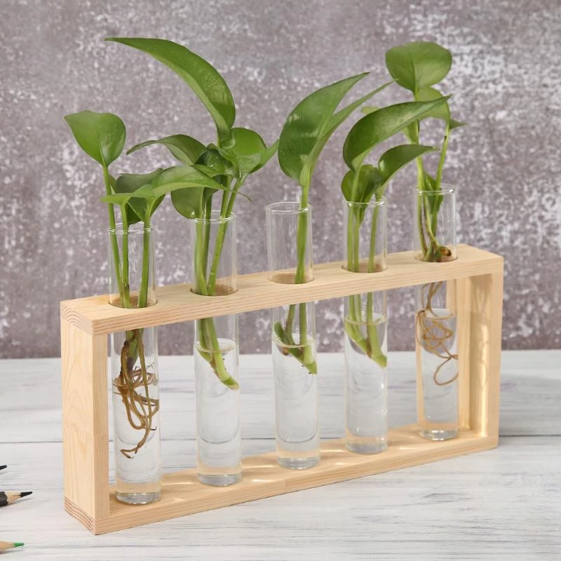 テラリウム水耕植物花瓶 ヴィンテージ木製フレーム 透明なガラスの植木鉢 卓上植物 盆栽 家庭やオフィスの装飾 花瓶 Aliexpress テラリウム水耕植物花瓶 ヴィンテージ木製フレーム 透明なガラスの植木鉢 卓上植物 盆栽 家庭やオフィスの装飾 花瓶 Aliexpress
