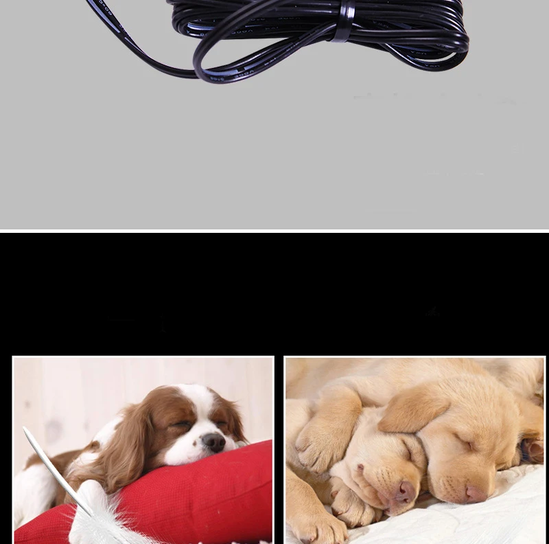 3754819030_1591473854