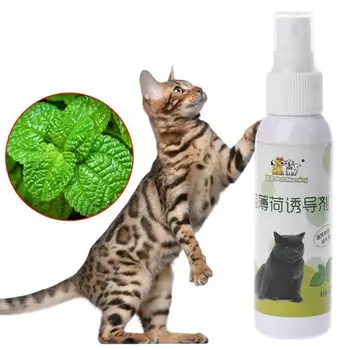 

50ml Natural Catnip Spray Cat Good Excitement Toy kitten Training Pets Toys Interactive Plate Inducer Scratch Props Accesso C6I9