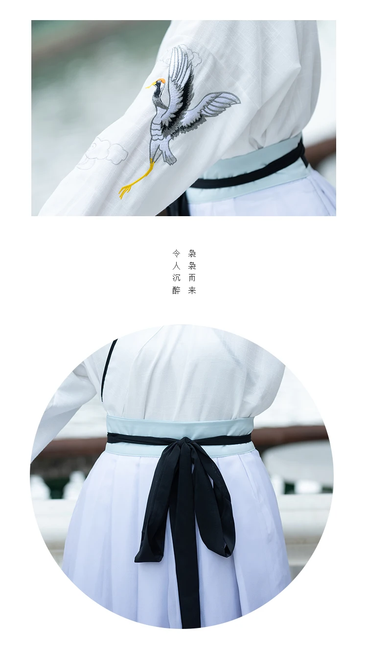 Traditional Chinese Hanfu Clothes For Men'S Ancient Elegant Printing Embroidery National Tang Suit Women Folk Dance Wear DL4194