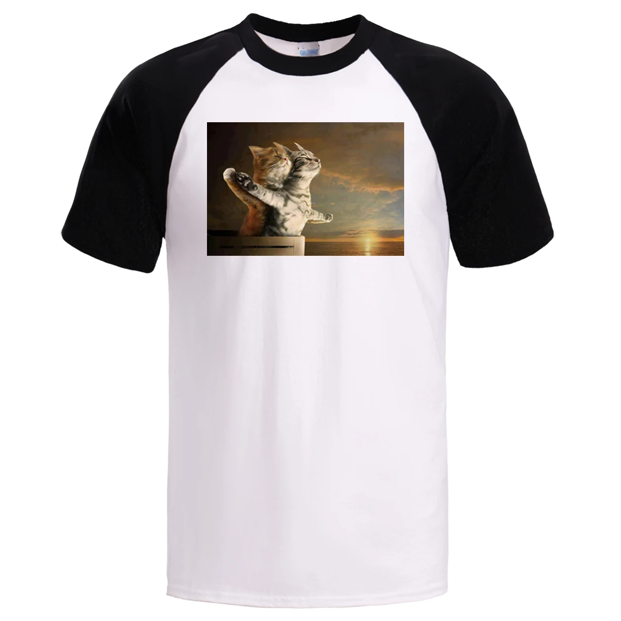 

Titanic Men Summer Cat T Shirt Raglan Tshirt Male Cotton Cats 2019 New -Short Sleeve Shirs Sportswear Tops Tees Funny Tshirts