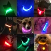 USB de carga Led Collar de perro Anti-perdido/evitar accidente de coche Collar para perros perro collares lleva LED suministra productos para mascotas ► Foto 2/6