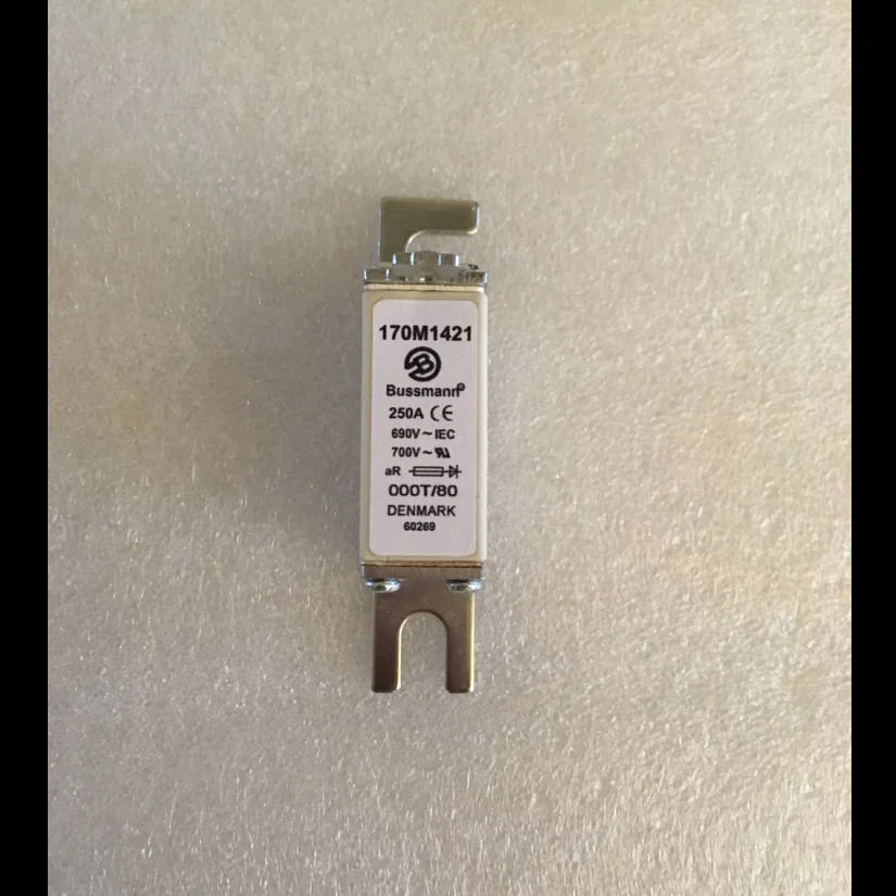 

10pcs power dc fuse 170M1421 250A 690V ceramic fuse for short circuit protection