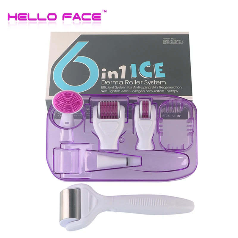 

Ice Roller DRS Derma Roller 6 in 1 Microneedle Kits microneedle machine for skin care and body care