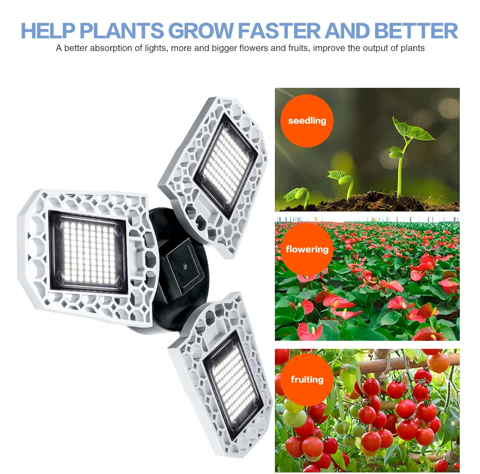 变形金刚-植物灯-A-款-100-200-300-自然白--蓝白---改01--_08