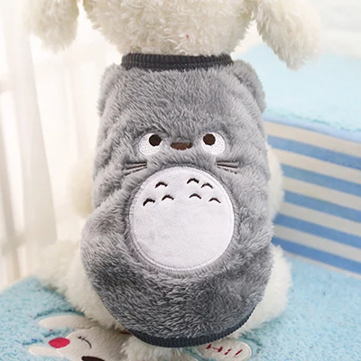 gray-cat