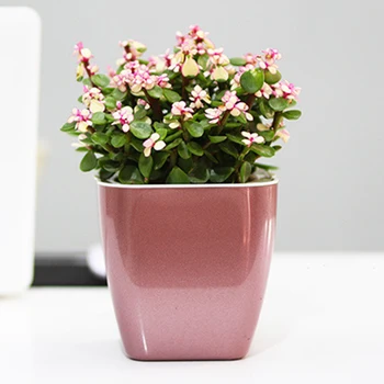 

Lazy Flower Pot Automatic Water Absorption for Plant Home Garden Decoration L5
