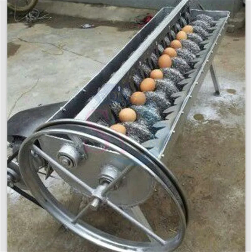 Goose Eggs Cleaning Machine Chicken Egg Washer Duck Egg Washing Equipment -  AliExpress