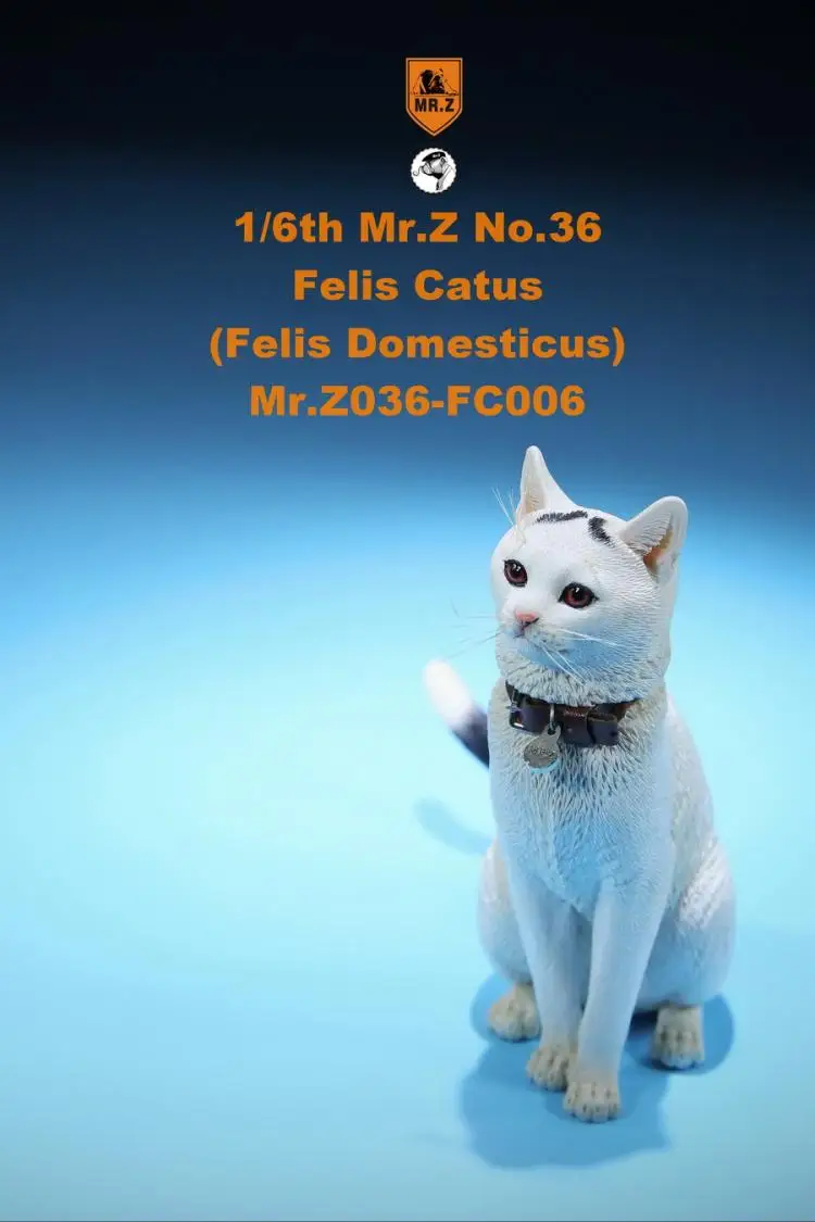 1/6 модель животного из смолы MRZ036 FC001-FC006 модель домашнего кота Felis catus 6 цветов домашнее животное F 1" фигурка солдата - Цвет: FC006