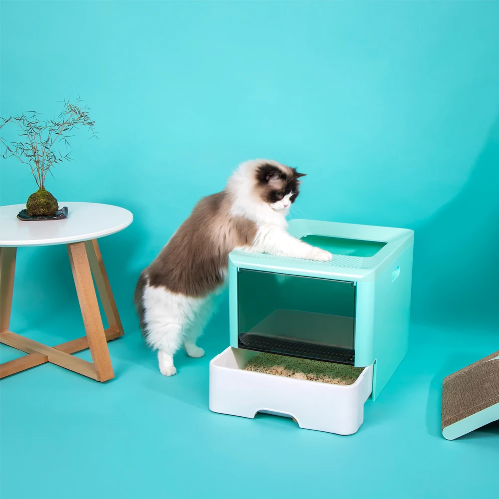 2020New Pet Fold Cat Tray Litter Box Closed Toilet for Cats Training Kit Sand Shovel Kitten Dog To Accustom A Cats To A Restroom 2020New Pet Fold Cat Tray Litter Box Closed Toilet for Cats Training Kit Sand Shovel Kitten Dog To Accustom A Cats To A Restroom