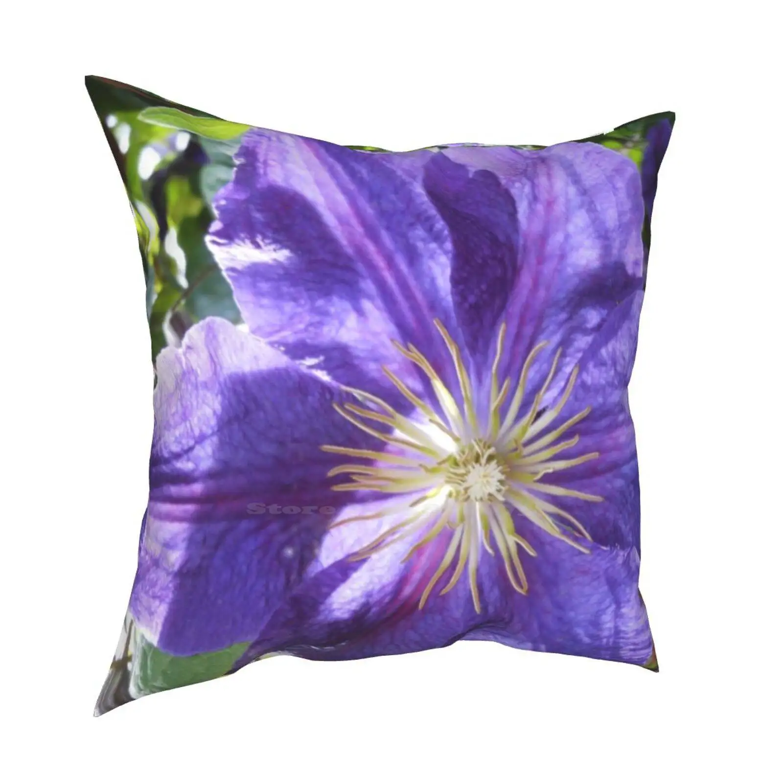 Clématite violette, une taie d'oreiller douce et confortable, une plante  rampante, Macro violette, violette, lavande, fleur florale | AliExpress