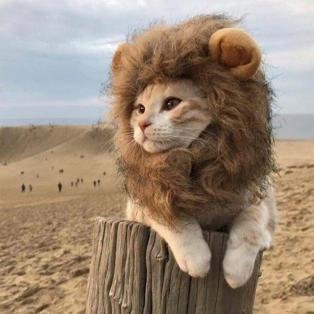 Hoopet-Pet-Cat-Costume-Clothes-Cap-Funny-Hat-Lion-Mane-Wig-Hat-Party-Cosplay-Accessory-Out