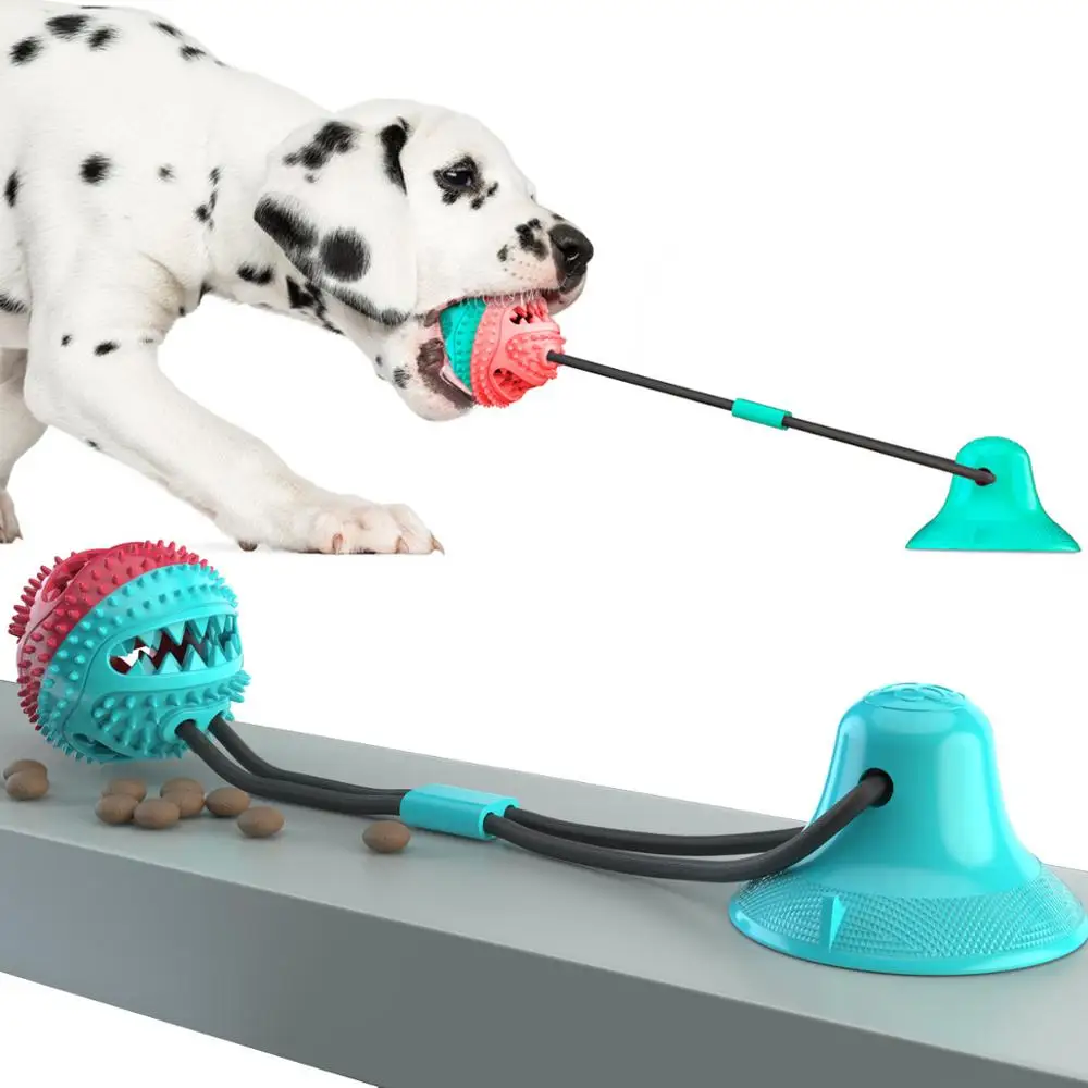 Juguete de cuerda de perro con ventosa para morder, bola ventosa para morder, cepillo dental para perro