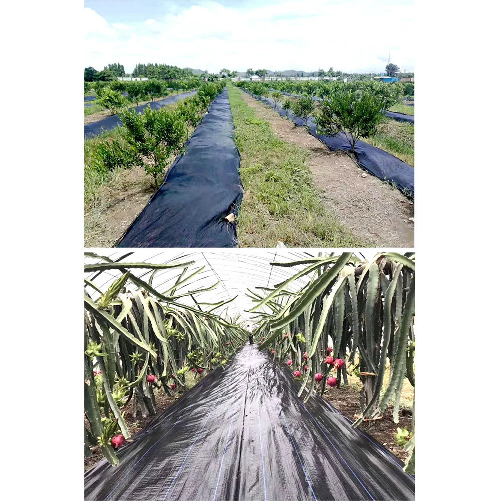 Gardening tools and equipment gift 33ft greenhouse Weed Barrier Landscape Fabric Gardening Weed Control Mat PE Woven Ground Mat