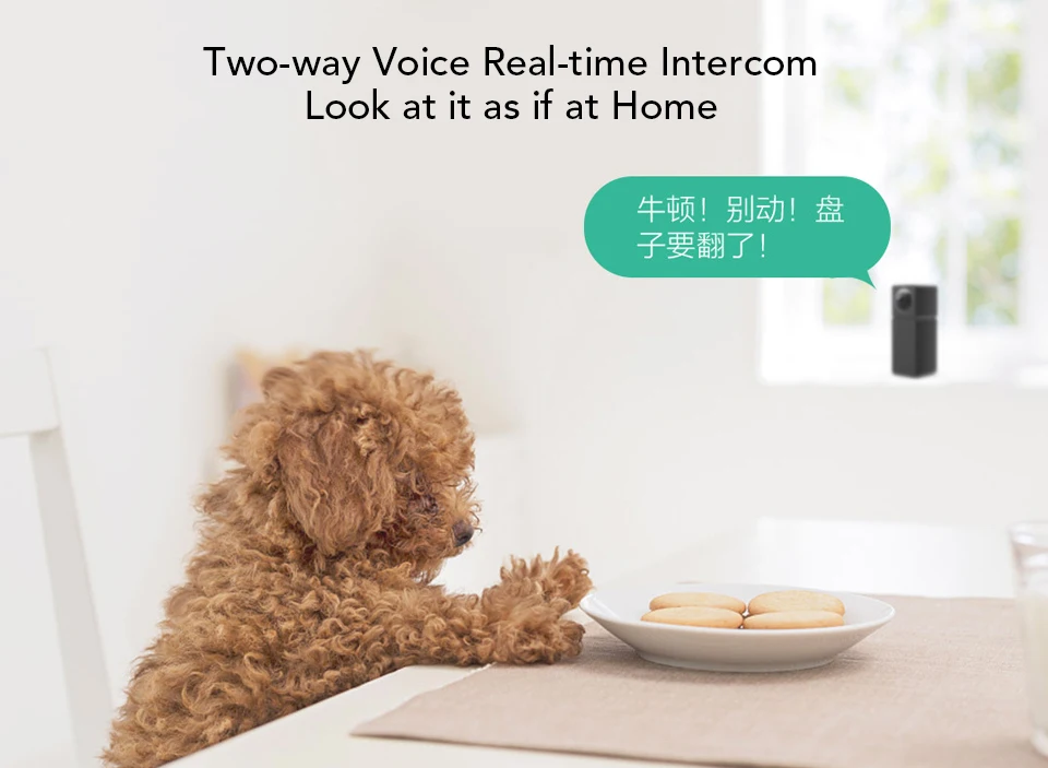 Xiaomi Xiaofang Camera Dual Lens Version Panoramic Smart Network IP Camera Four Screens in One Window Two-way Audio Support VR (8)