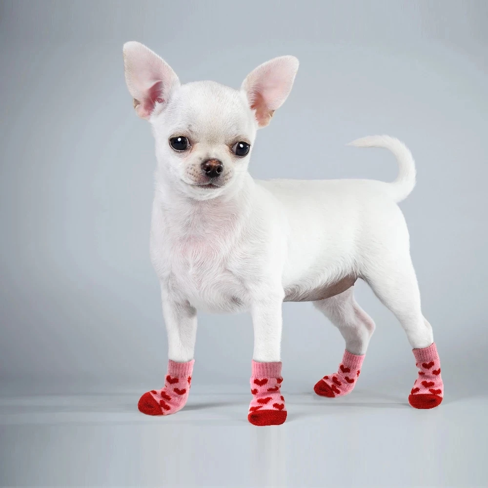 4 unids/set lindo cachorro perro calcetines de dibujos animados antideslizante calcetines de punto cálido cachorro zapatos pequeños perros mediano botas productos para mascotas