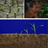 Garden Supplies