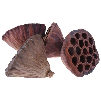 

1pcs New Natural Dried flower Lotus DIY decoration for home party office decorative pressed flowers