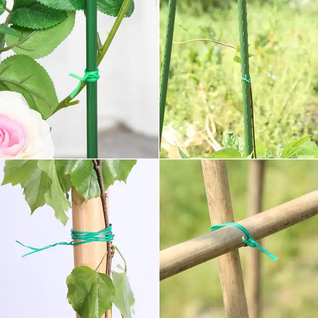 Kertészeti Szőlőmászó Növények Kábelkötési Vonalak Növényi Ágak Alkatrészek Bonsai Virág Uborka Szőlő Rattan Támogató Hevederek 50 M - Image 4