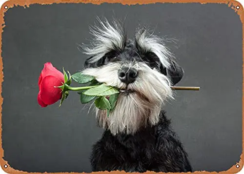 

Танцор Танго винтажный вид металлический знак патент художественные принты Ретро подарок 8x12 дюймов