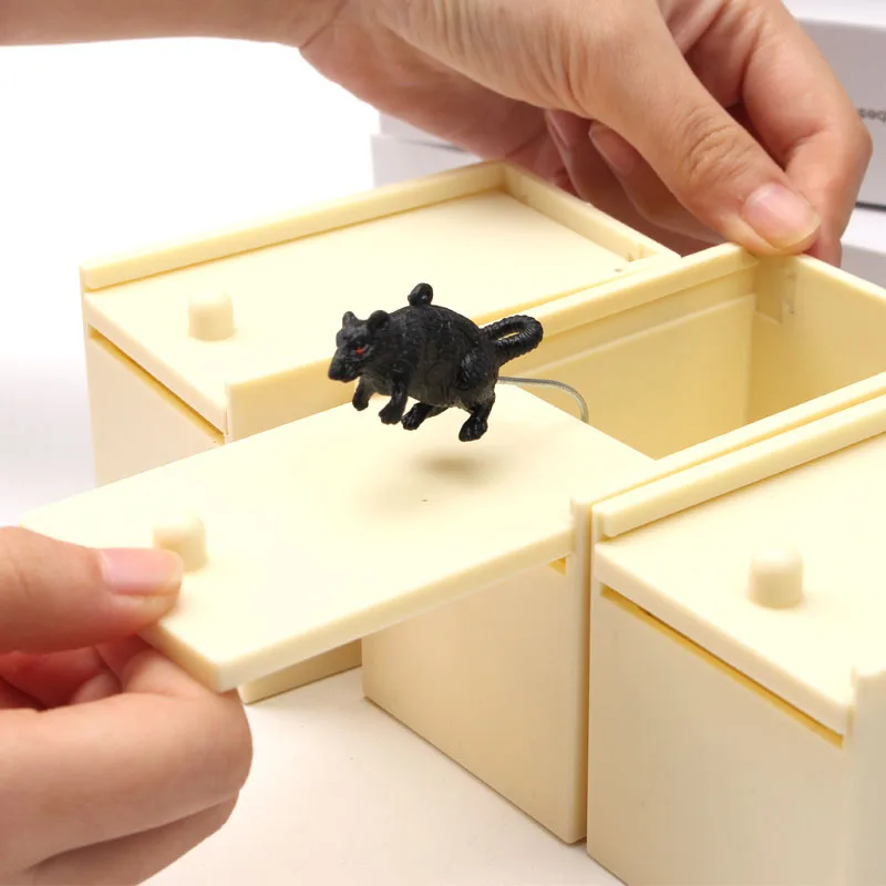 IMG_1906(20191119-173154)