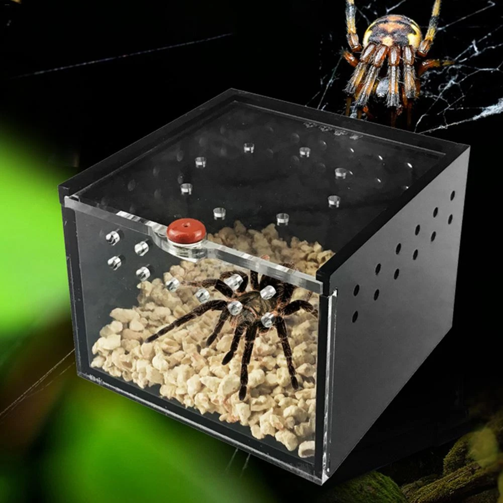 Breeding And Display For Spider Lizard Frog Cricket Turtle Urben Life Acrylic Reptile Box Reptile Insect Acrylic Mantis Breeding Box