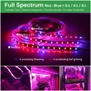 LED Grow Light 5M Waterproof DC12V Full Spectrum Growing LED Strip Plant Growth Light Set With US/EU Adapter And Switch ► Photo 3/6