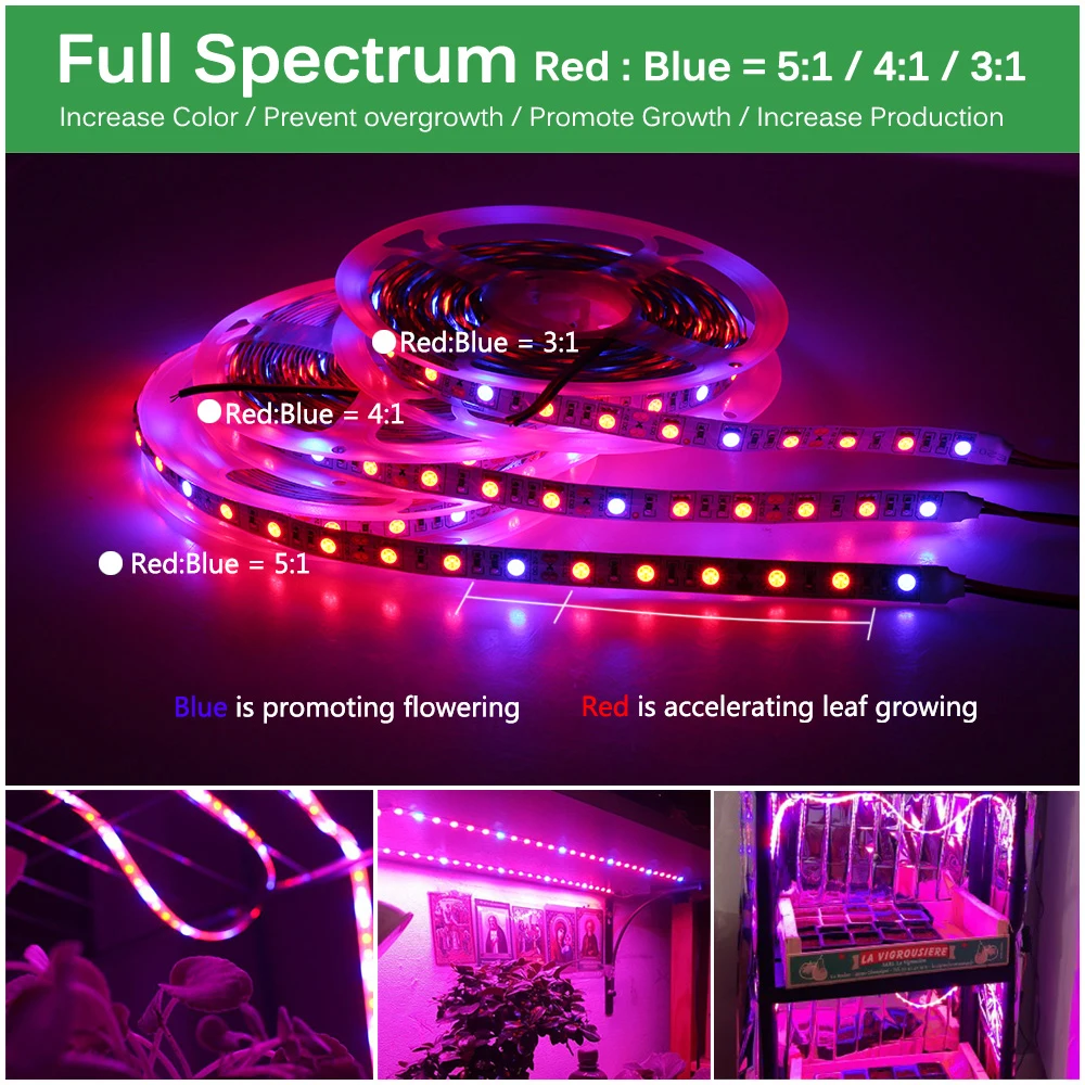 cheap luzes led crescimento plantas 02
