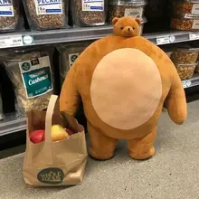 teddy bear small head big body