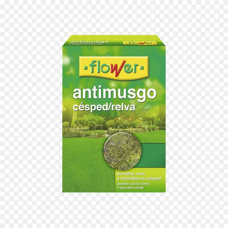 花卉防苔草坪食品 人造草png图片素材免费下载 图片编号 Png素材网