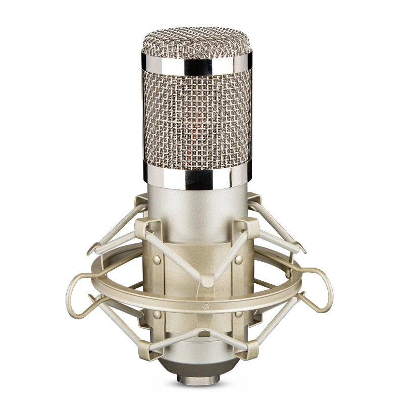 Конденсатор My Mic BM800 для трансляции|Микрофоны| |
