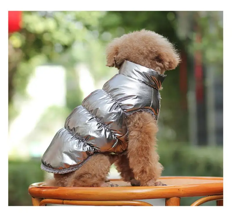 Зимняя одежда для собак во французском стиле, одежда для бульдога для маленьких собак, водонепроницаемая Толстая теплая одежда, пальто, куртка для чихуахуа, одежда для домашних животных
