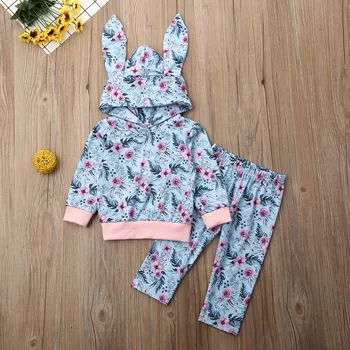 

Pudcoco Newborn Baby Girl Clothes Flower Print Long Sleeve Hooded Tops Long Pants 2Pcs Outfits Cotton Clothes Sweatshirts Set