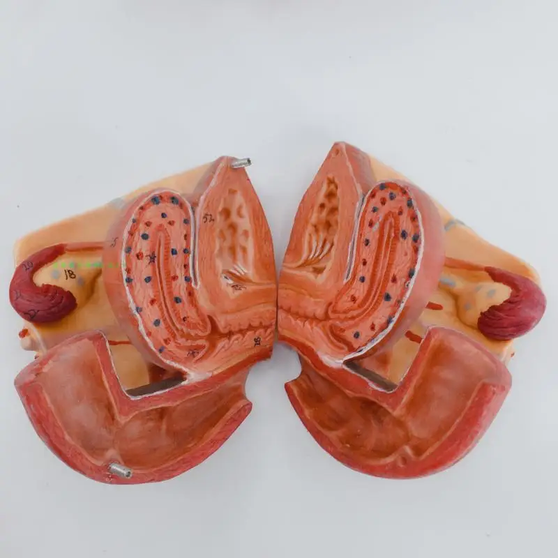 TB2SwXvvxSYBuNjSsphXXbGvVXa_!!366265571