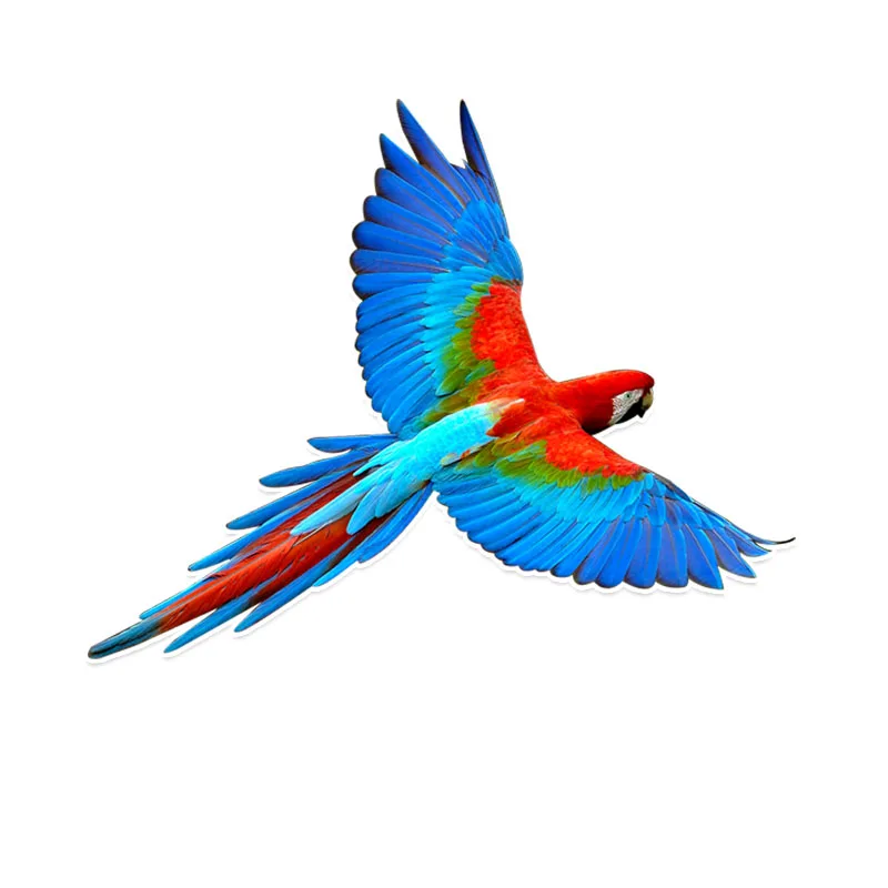 

Beautiful Parrot Car Sticker Window Decoration Windshield High Quality Vinyl Scratches Waterproof PVC 11.9cm X 15.1cm
