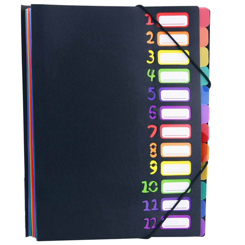 

Extended Folder,12 Pocket Letters A4 Paper Item Sorter,Plastic File Storage Bag,Iridescent