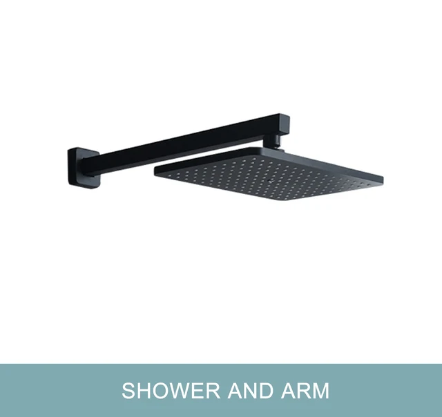 Shower and Wall Arm