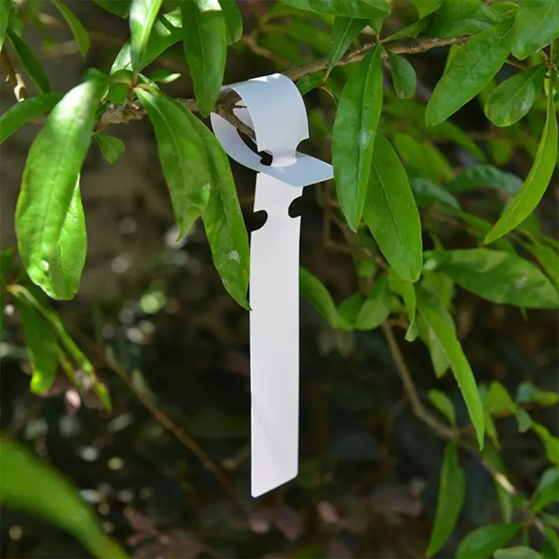 

100 Pcs White Plastic Plant Tree Tags Nursery Garden Lables 2x20cm Wrap Around Hanging Tags Nursery Garden Stakes Large P31E