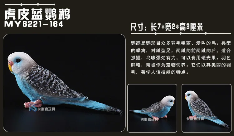 Wild Animal Model Solid Model CHILDREN'S Toy Pet Model 8-Selectable Five-color Jingang Parrot Bird