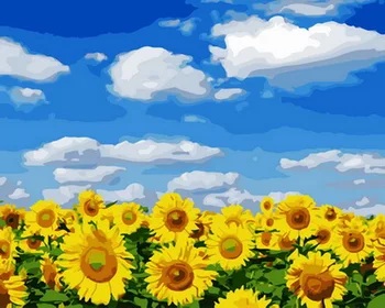 

Unframe diy oil picture oil paintings by numbers figure painting paint by number for home decor 5065cm sunflower field