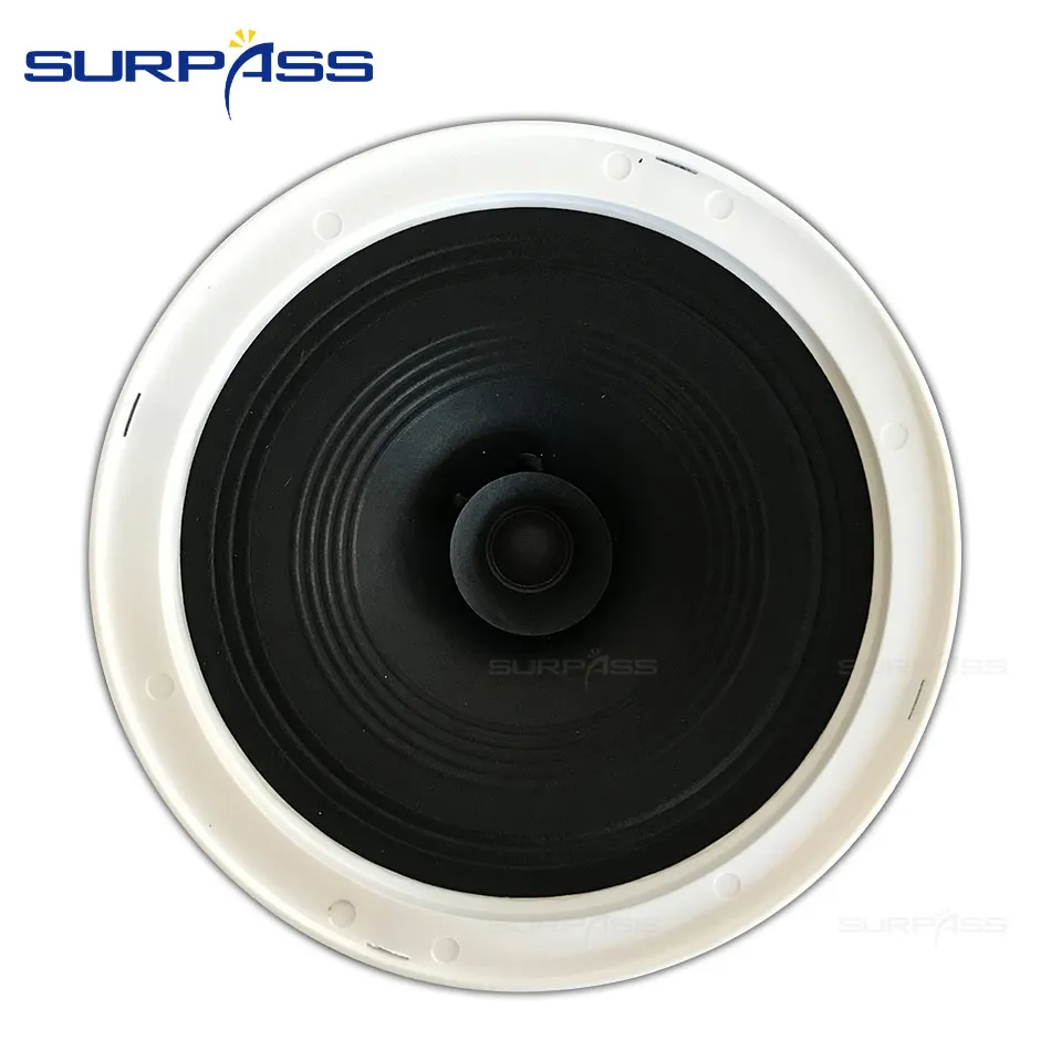 Высокое качество домашний громкоговоритель модные потолочные колонки на крышу 6