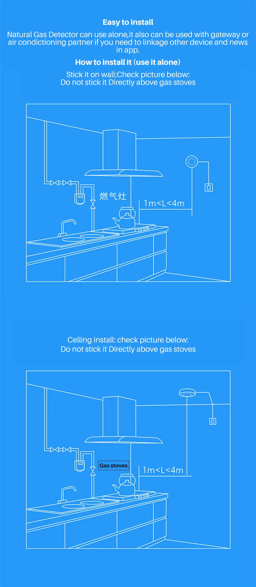 Natural gas alarm (6)