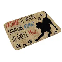 

Door Mat Thicken Non Slip Flannel Home Decorative Entrance Floor Rug for Bathroom