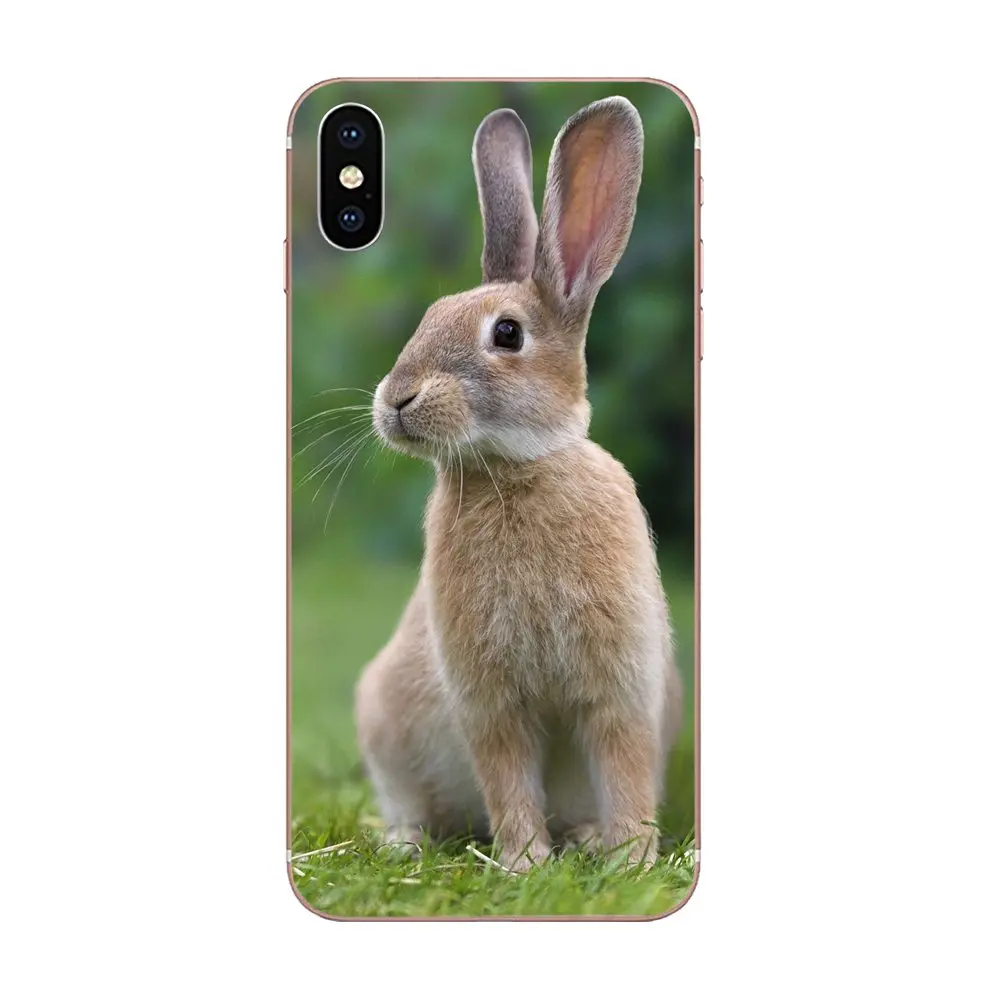 Лидер продаж мода обложка чехол для телефона с изображением кролика Банни Galaxy J1 J2