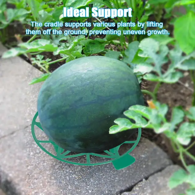 10/5 db Dinnye Bölcső Támogató Állvány Kertészeti Görögdinnye Tartó Kerti Ültetési Szerszámok Műanyag Stabil Tálca Dinnyek Gyümölcsökhöz - Image 4
