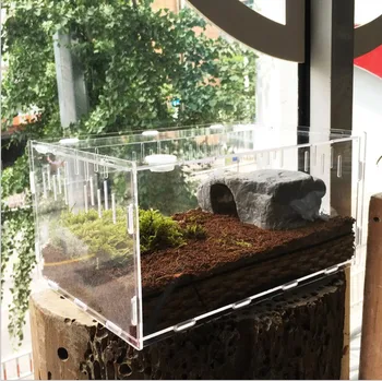 

Snail feed snail nutrition soil coconut feeding box acrylic supplies collection