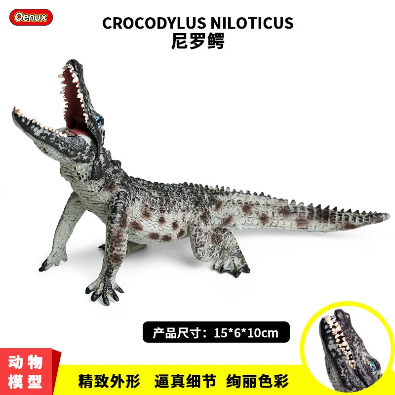 

CHILDREN'S Toy Nile Crocodile Crocodile Amphibious Animal Doll Decoration Solid Model Wild Animal Crocodile Model