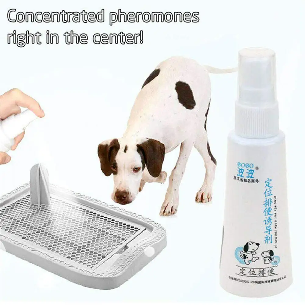 

DishyKooker 60ML Effective Pet Toilet Training Spray Dog Props Inducer