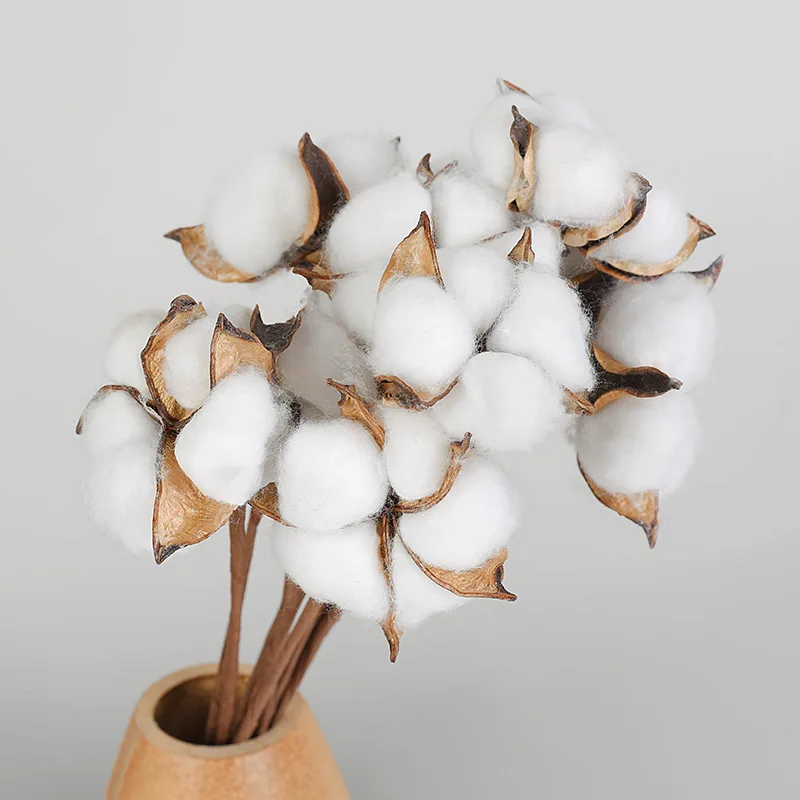Cotton Decoration Accessories Natural Dried Cotton Flowers Cotton
